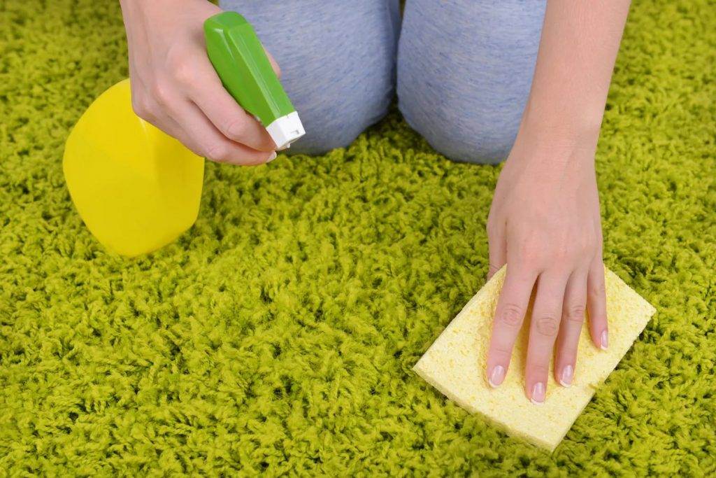 Чистка шерстяных ковров в домашних условиях: как почистить быстро и эффективно народными средствами и бытовой химией?