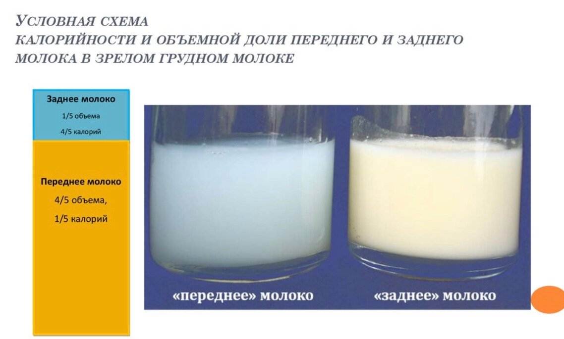 Как проверить грудное молоко на жирность в домашних условиях фото