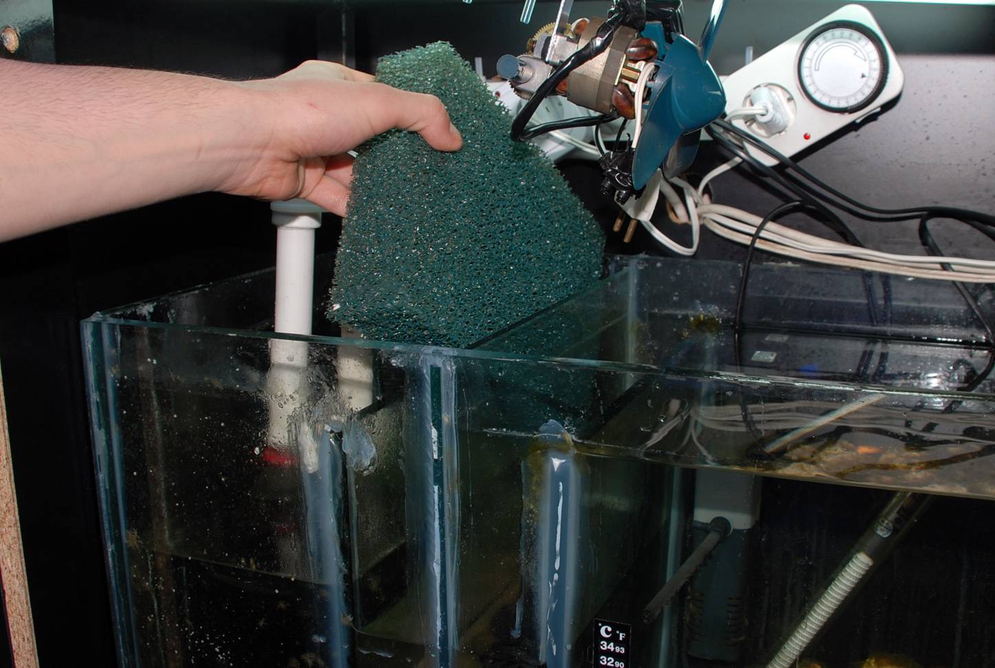 Как почистить фильтр в аквариуме: правила и способы, инструкция по разборке