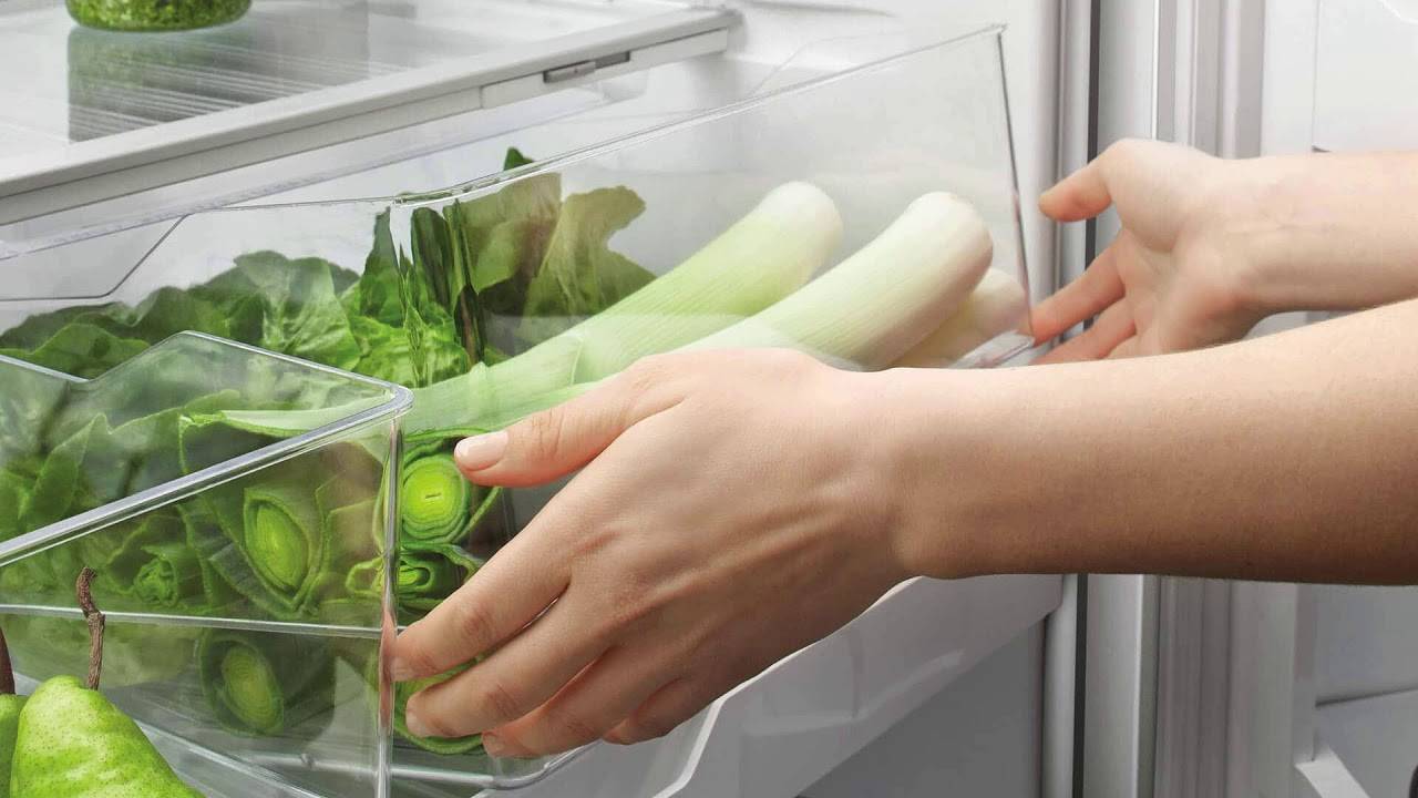 Как дольше сохранить в холодильнике: укроп, петрушку, салат, рукколу, шпинат и остальное