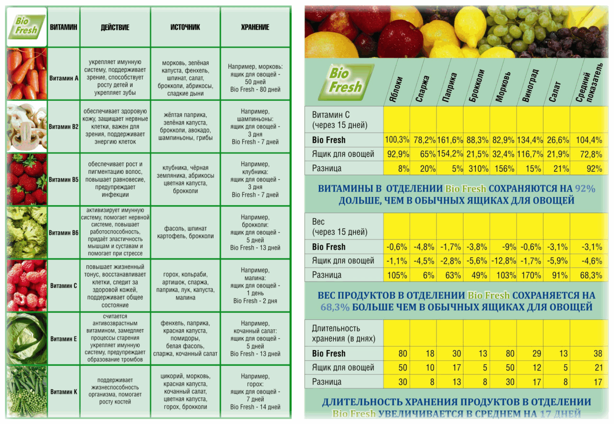Температура хранения овощей: оптимальные условия, правила сохранения фруктов, таблица, какие нельзя хранить вместе, современные методы