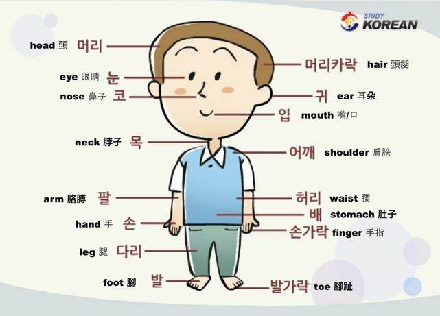 Популярные приложения для изучения корейского языка: топ-20