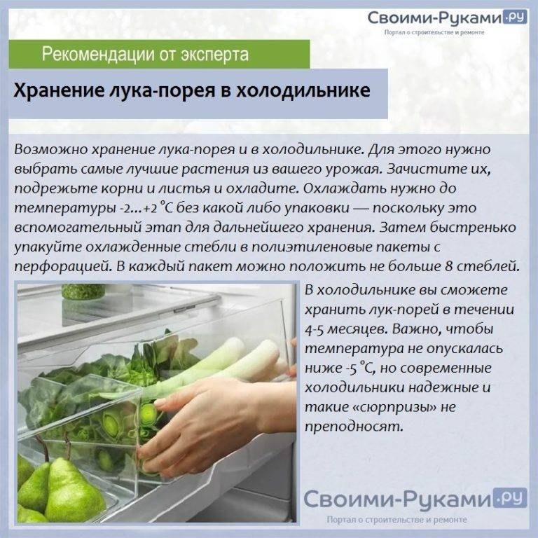 Как хранить чеснок в холодильнике – способы и рекомендации + видео