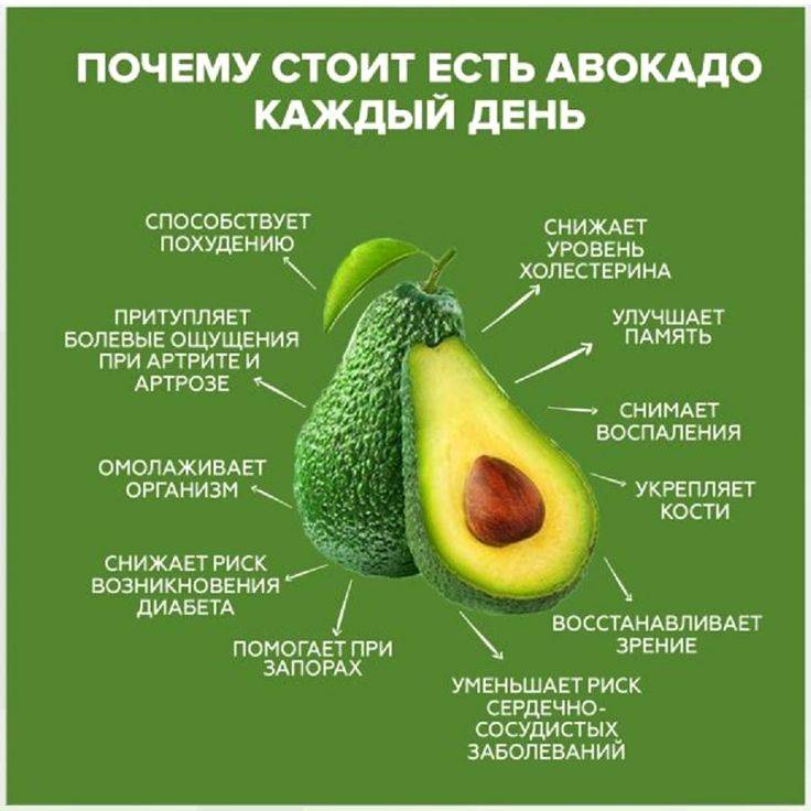 С чем есть авокадо: вкусные рецепты