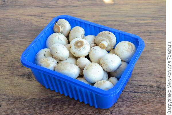 Хранение грибов шампиньонов свежих, жареных, маринованых