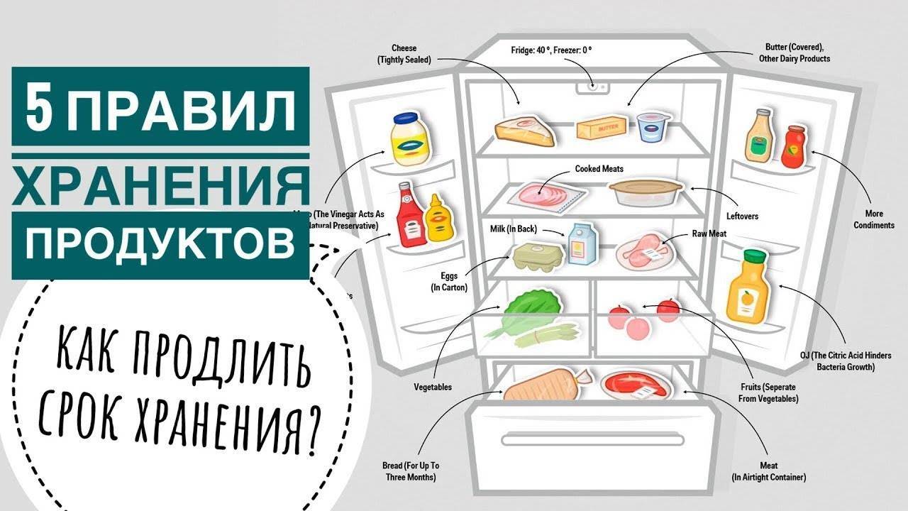 Как расположить продукты в холодильнике схема