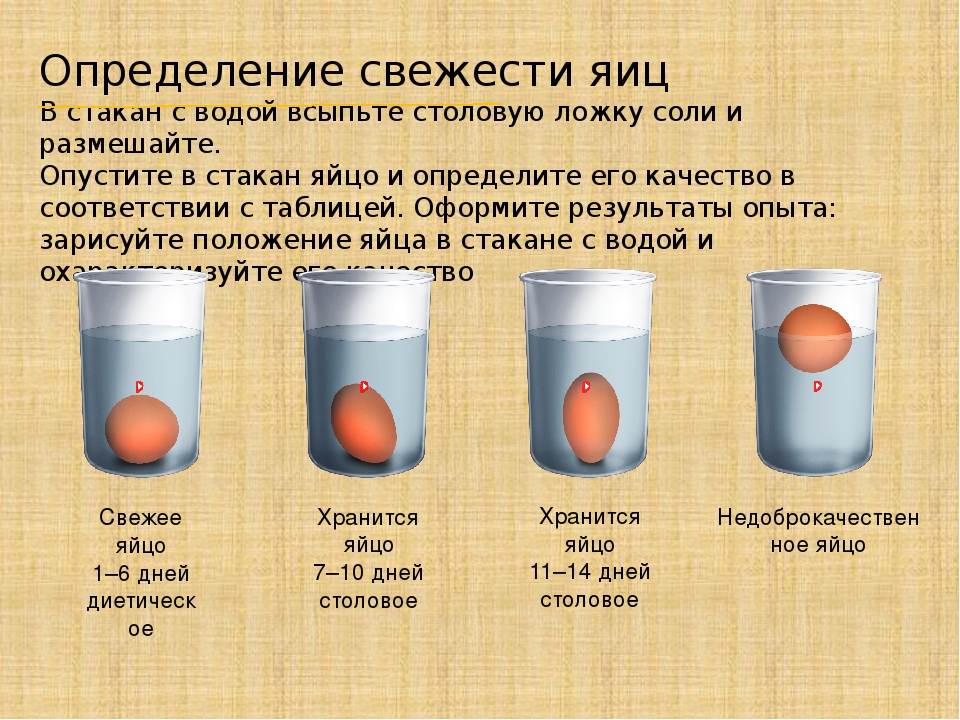 Как проверить яйца на свежесть: 3 отличных метода