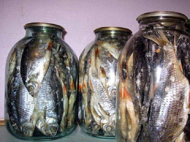 Как правильно хранить рыбу в холодильнике в домашних условиях – советы
