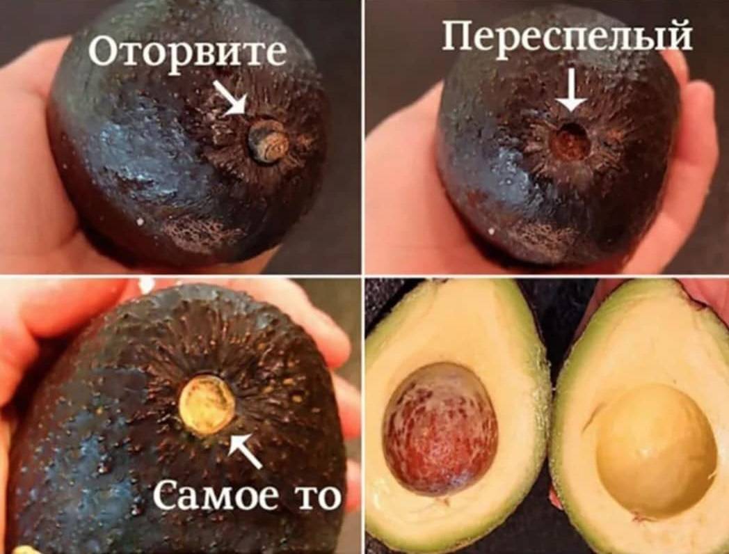 Как правильно есть авокадо и с чем