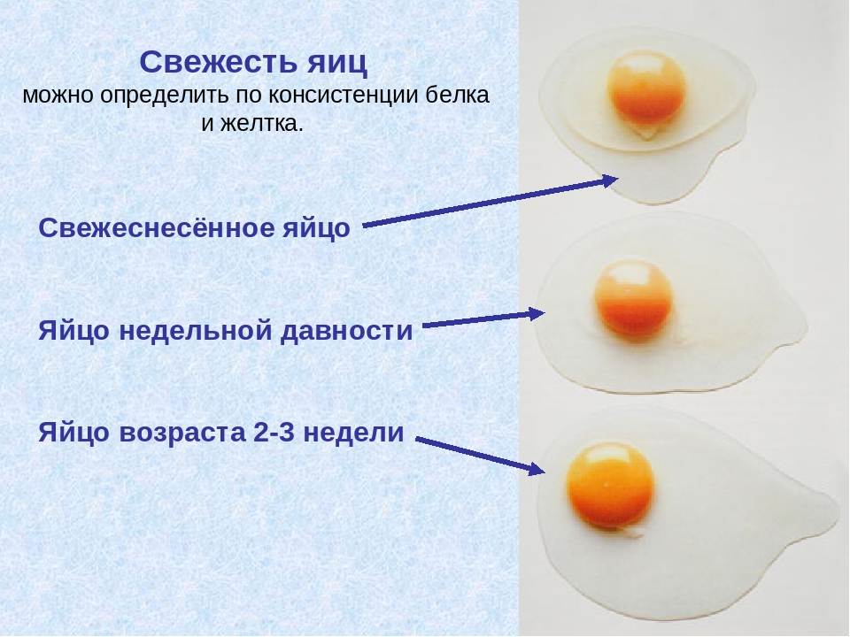 Как проверить сырое яйцо на свежесть в воде. как проверить варёное яйцо на свежесть
