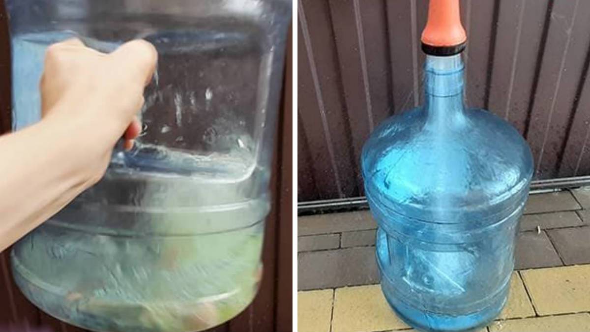 Как отмыть из стенок зелень в пластиковых бутылях на 19 литров
