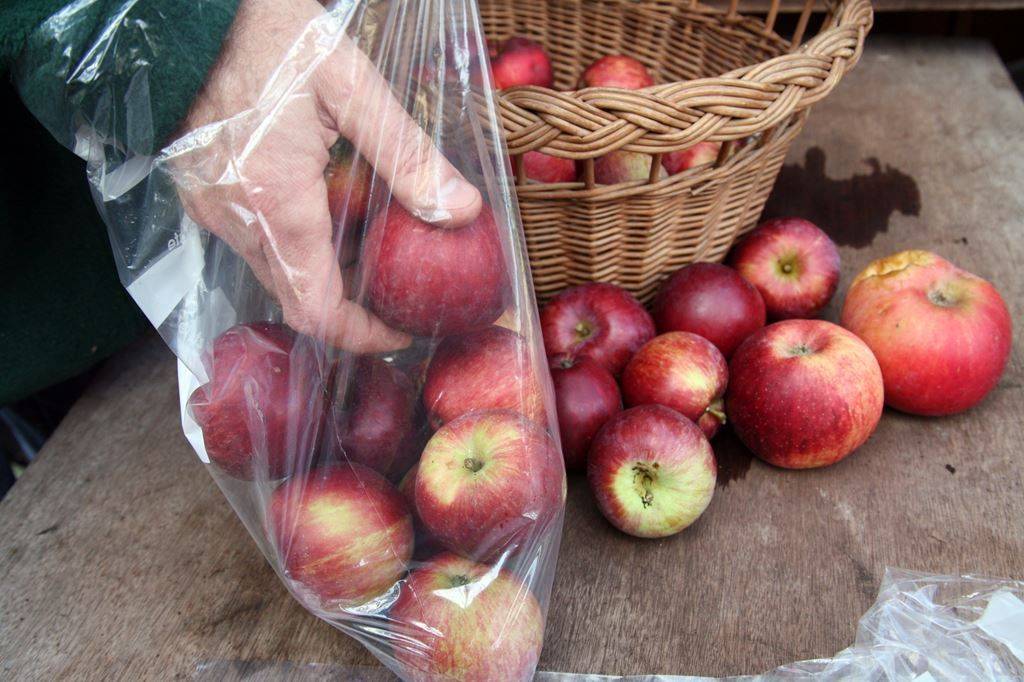 Чем обработать яблоки для длительного хранения народные методы