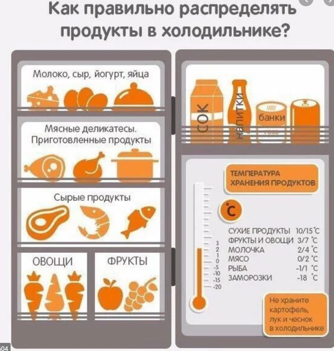 Как сохранить зеленый лук дольше свежим