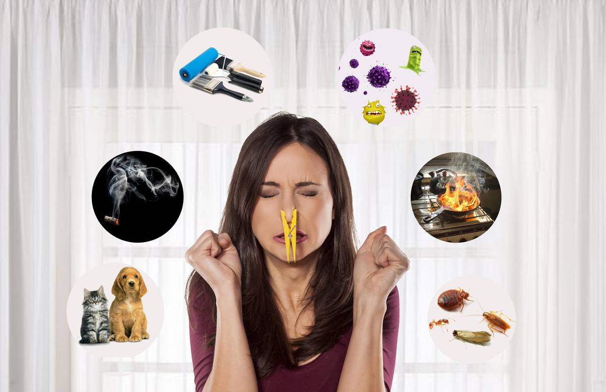 Как убрать неприятные запахи в квартире отовсюду - автор екатерина данилова - журнал женское мнение