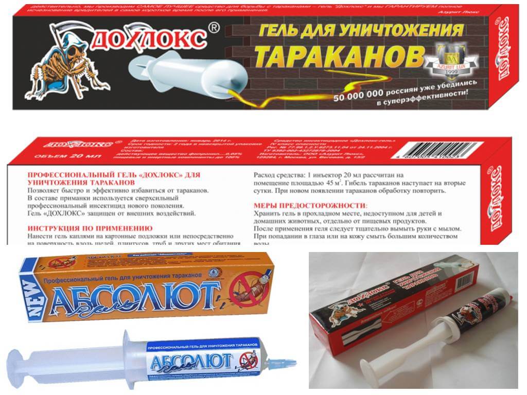 Гель дохлокс для уничтожения тараканов: состав, применение, отзывы
