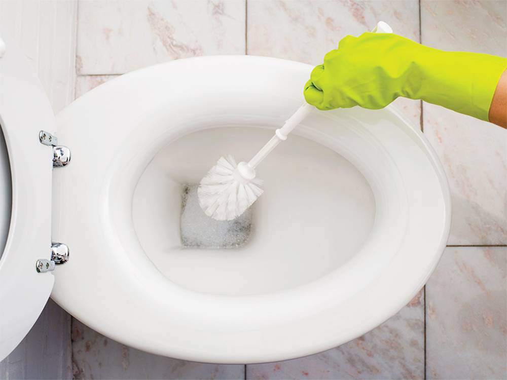 Как отмыть ершик для унитаза