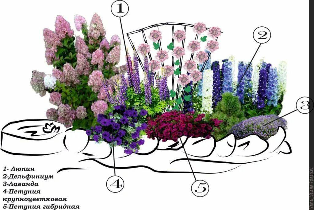 Оформление дизайна клумбы из роз, что посадить рядом и правила сочетания цветов