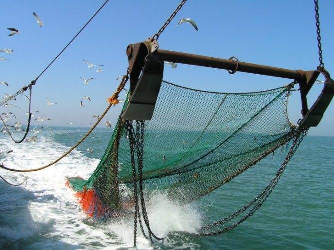 Рамление рыболовных сетей своими руками