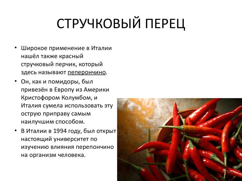 Как правильно хранить болгарский перец в домашних условиях