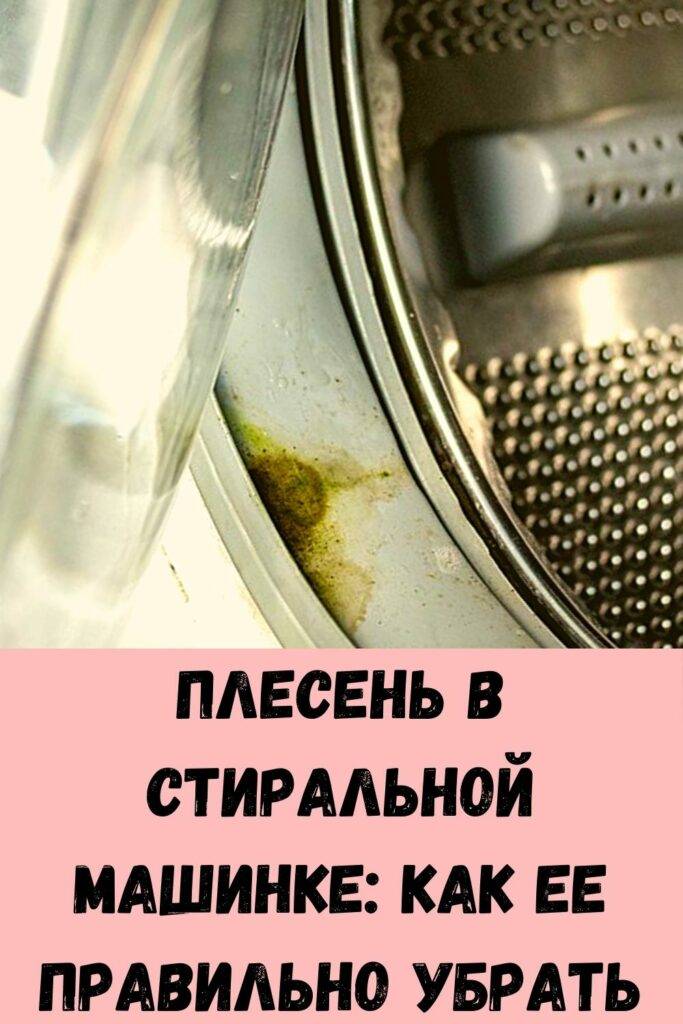 Плесень в стиральной машине: как избавиться и как очистить, причины и способы устранения