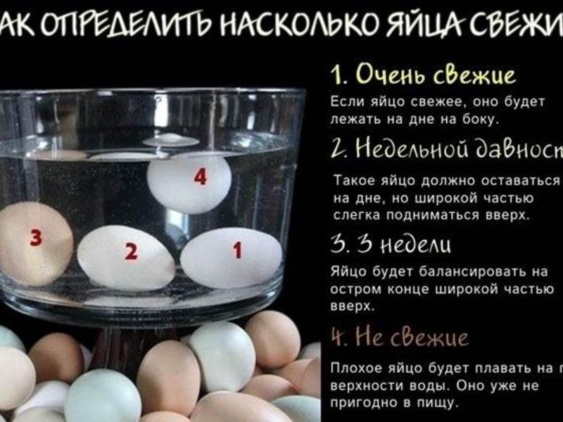 Симптомы отравления испорченными и сырыми яйцами