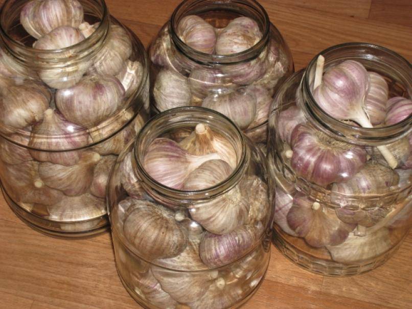 Хранение чеснока в стеклянных банках с солью или мукой. как сохранить чеснок до нового урожая