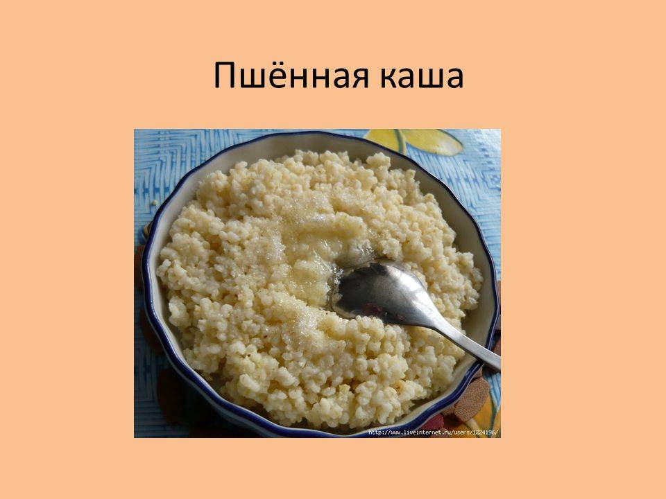 Пшенная каша на молоке. как сварить вкусную рассыпчатую кашу. 6 проверенных рецептов