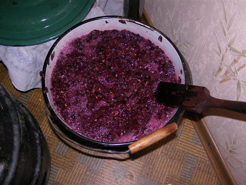 Домашнее вино из винограда: как приготовить, простые рецепты