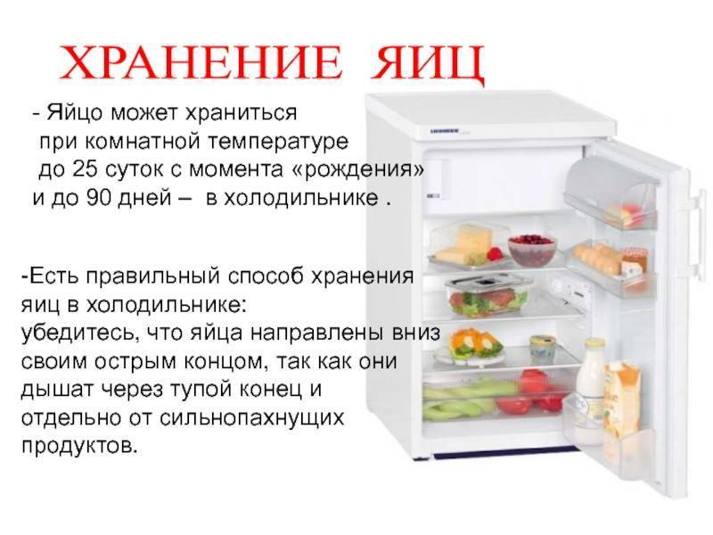 Сколько мясо может храниться в морозилке и в холодильнике: сроки хранения