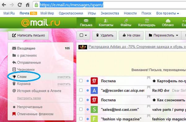 Touch mail ru message. Спам в майл почте. Папка спам. Папка спам в майл ру. Удалилось письмо из папки спам.