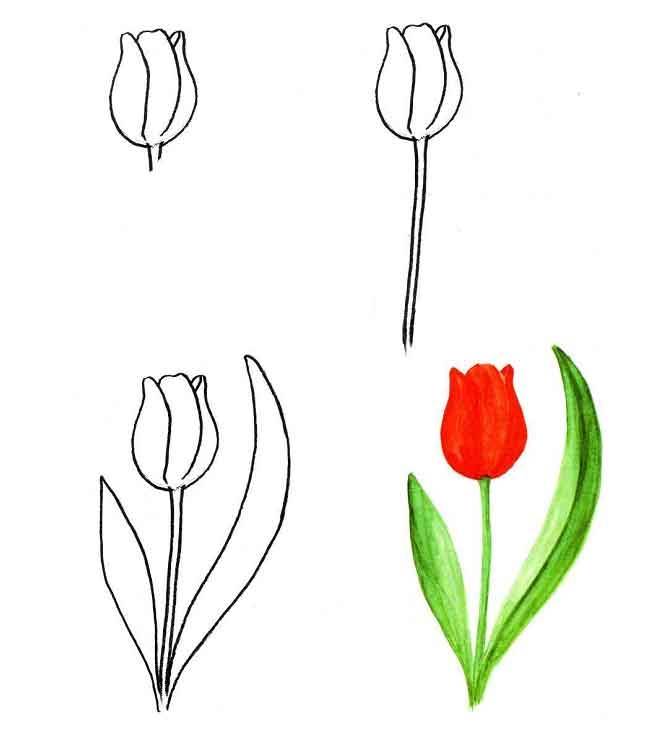 Как нарисовать цветок карандашом поэтапно: легкий способ быстро и красиво сделать набросок