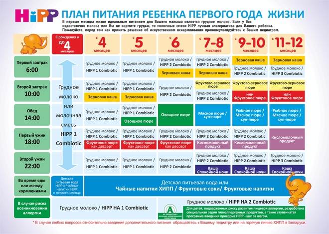 Когда можно давать кашу 2 раза в день 7 месячному ребенку