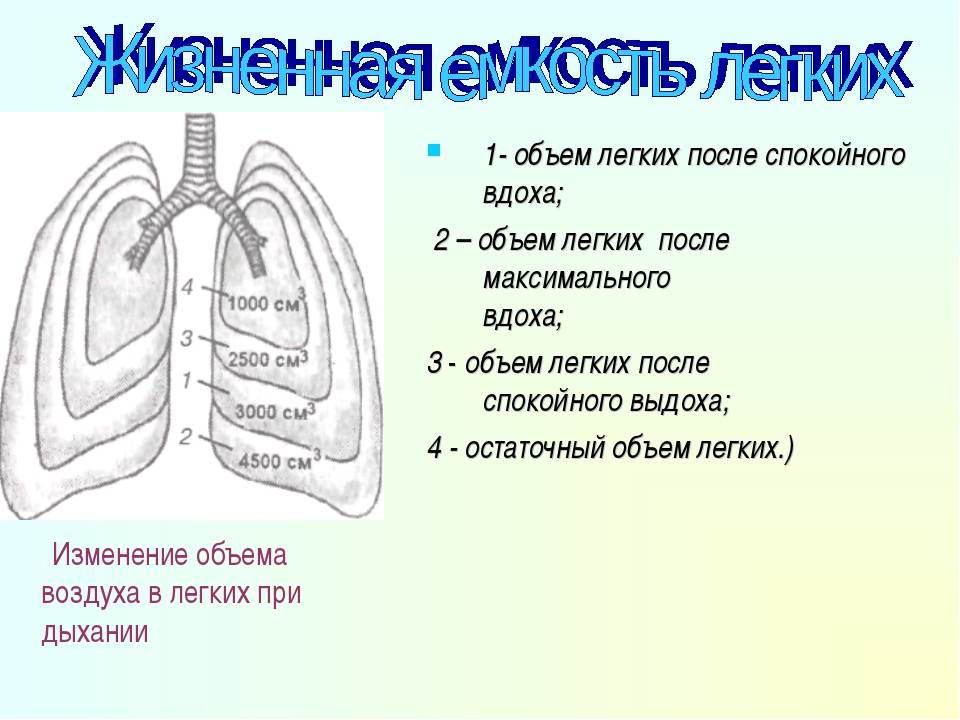 Дыхательные объемы картинка