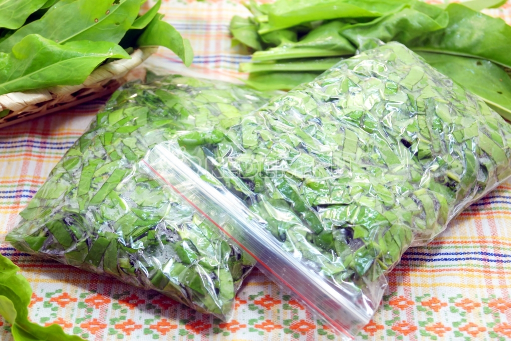 Как сохранить зеленый лук свежий в холодильнике долго: способы хранения, чтобы зелень как можно дольше оставалась сочной