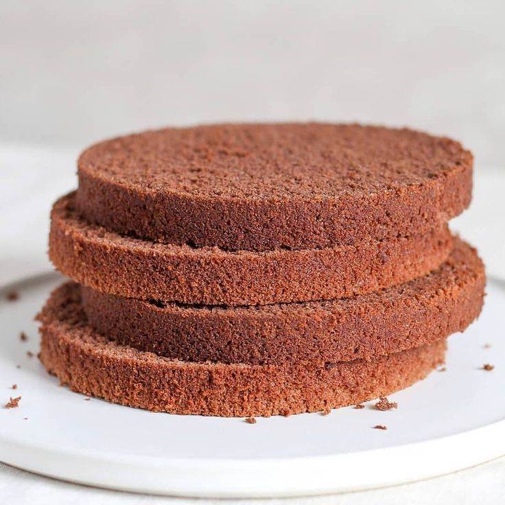 Бисквитные коржи для торта: рецепты и простые советы