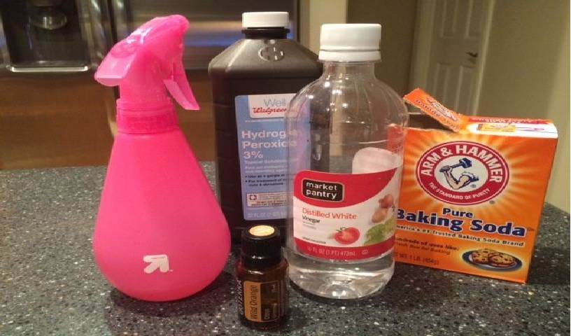22 простых рецепта, как убрать запах мочи с ковра в домашних условиях