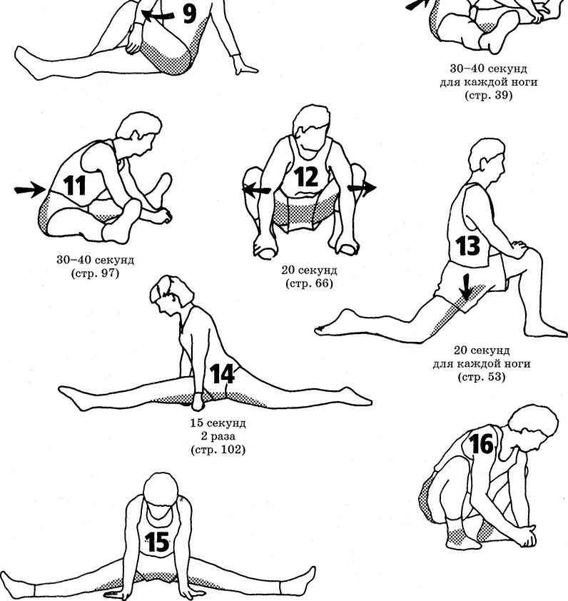 Упражнения на растяжку всего тела. Базовые упражнения на растяжку для шпагата. Схема растяжки на шпагат. Как сесть на шпагат упражнения для начинающих растяжки. Упражнения для растяжки ног в каратэ.