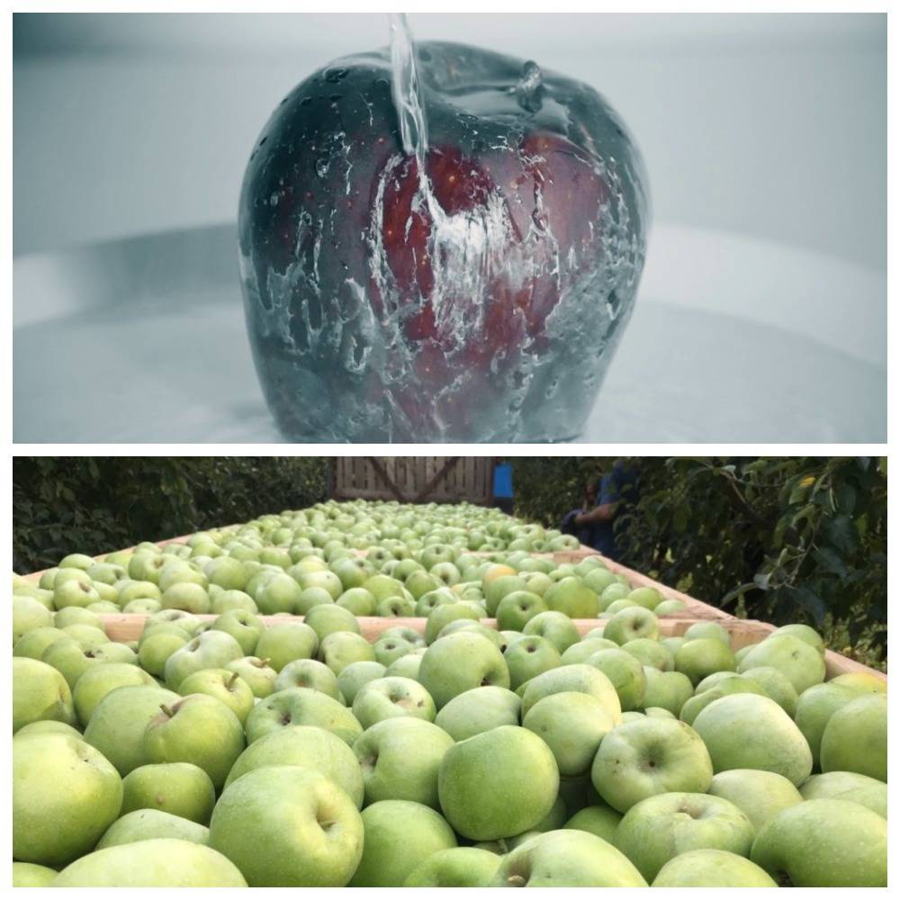 Как сохранить яблоки до весны. яблоки: как правильно собирать и хранить