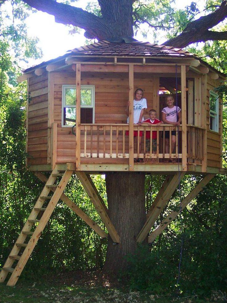 Дом на дереве – уютное местечко для взрослых и детей
