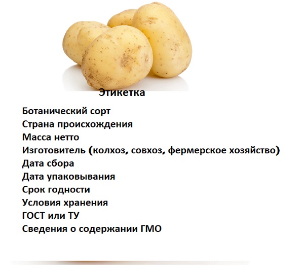Можно ли хранить картошку в холодильнике: почему может быть нельзя, сколько можно ее там держать, можно ли оставлять в морозильной камере, как лучше сохранить