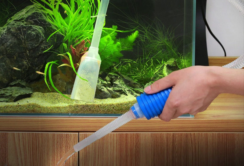 Как почистить аквариум в домашних условиях: проверенные способы