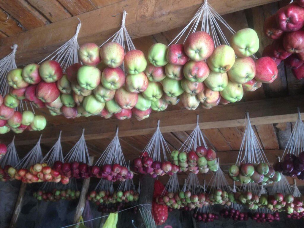 Как хранить яблоки всю зиму - полное руководство по сбору, укладке и хранению яблок на зиму