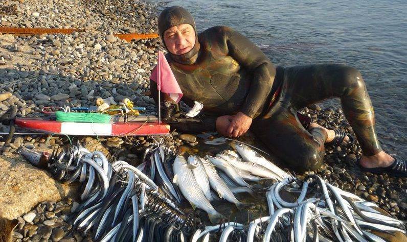 Рыбы чёрного моря: названия, описания, фото и особенности ловли, снасти и наживки