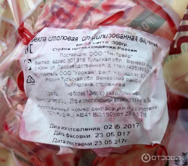 Хранение свеклы зимой – лучшие сорта свеклы для зимнее хранения