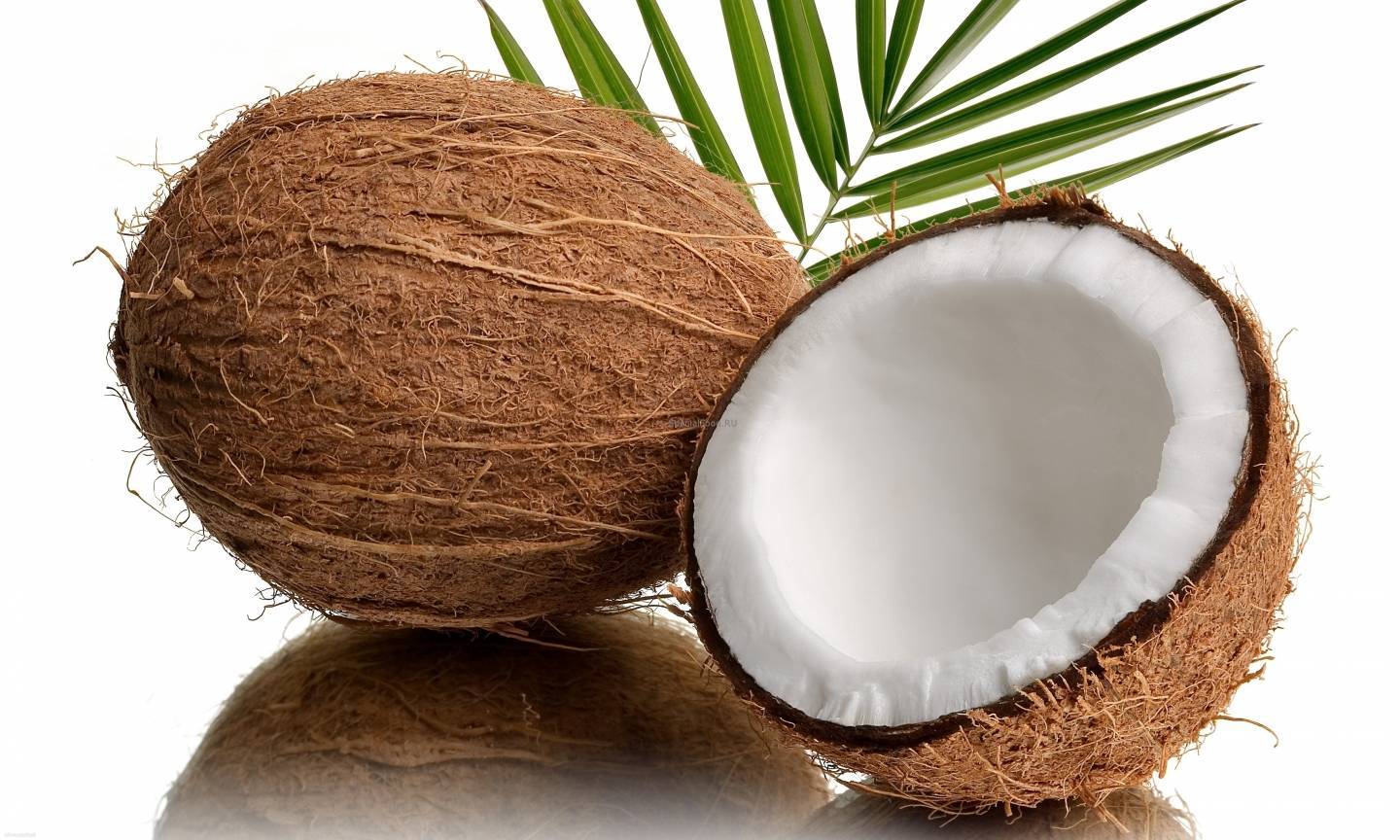 Кокос. какой срок хранения кокоса? сколько и как можно хранить кокос?