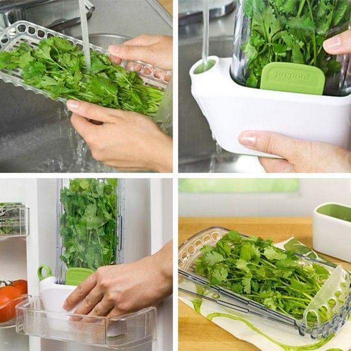Как сохранить зелень в холодильнике свежей и долго