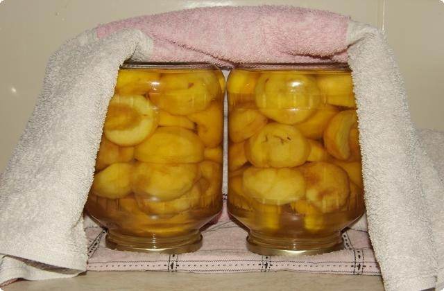 Персики в сиропе на зиму: рецепты консервирования в домашних условиях, без стерилизации, целые, дольками, польза и вред
