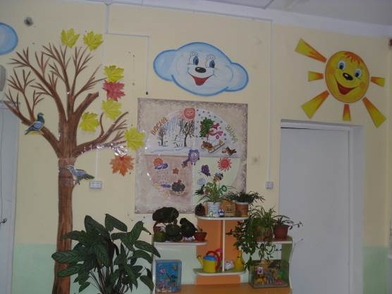 Экологический уголок в детском саду: оформление, фото