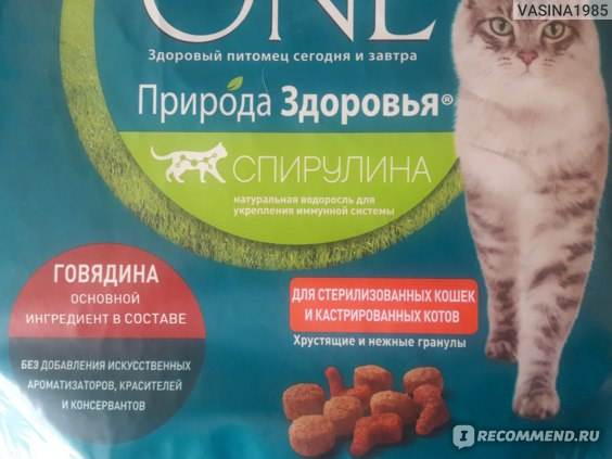 Как кормить стерилизованных кошек: полезные и нежелательные продукты