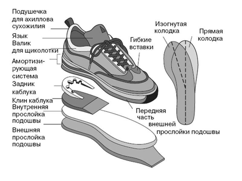 Из чего состоит обувь